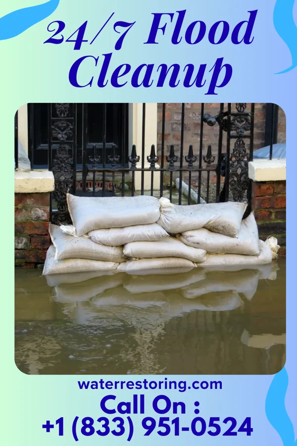 24/7 Flood Cleanup in Danforth, IL