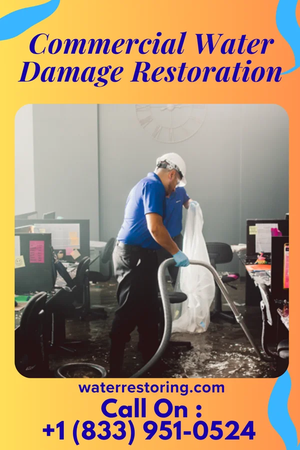 Commercial Water Damage Restoration in Danforth, IL