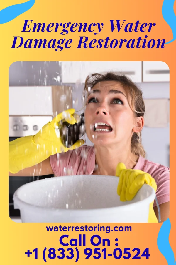 Emergency Water Damage Restoration in Danforth, IL