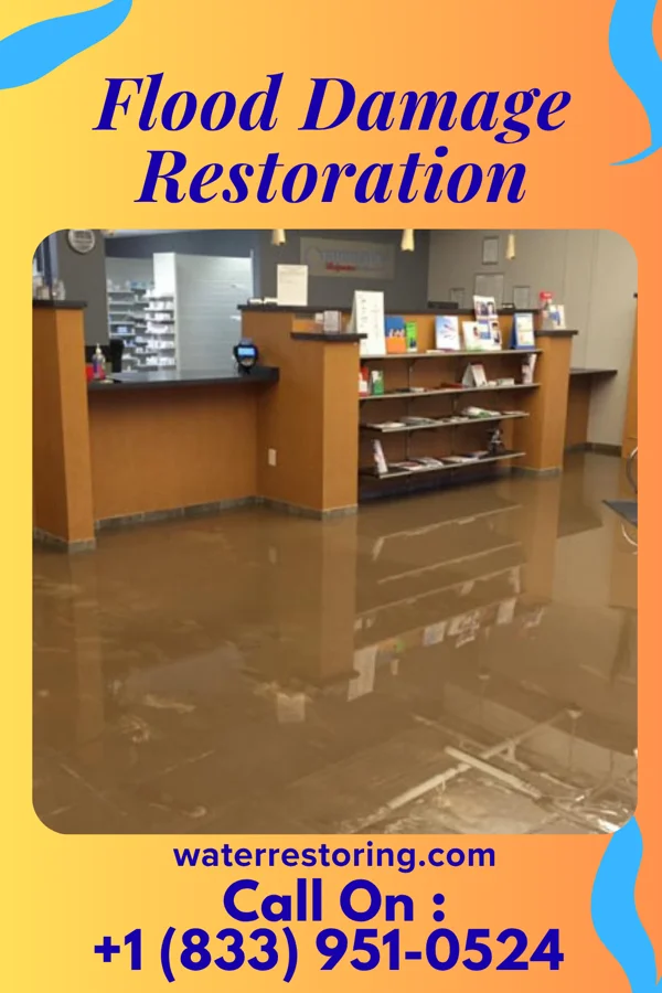 Flood Damage Restoration in Danforth, IL