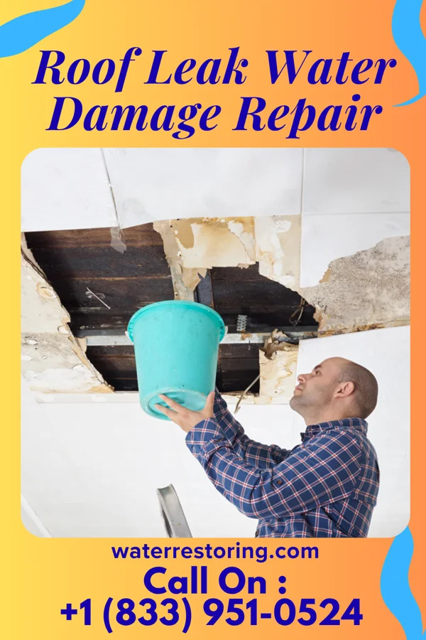 Roof Leak Water Damage Repair in Danforth, IL