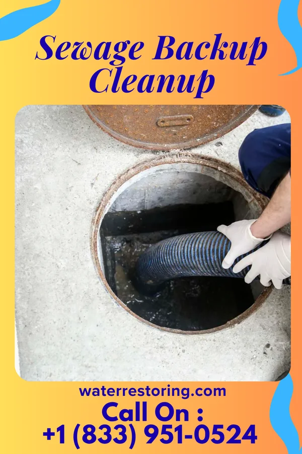 Sewage Backup Cleanup in Danforth, IL