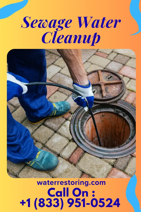 Sewage Water Cleanup in Danforth, IL
